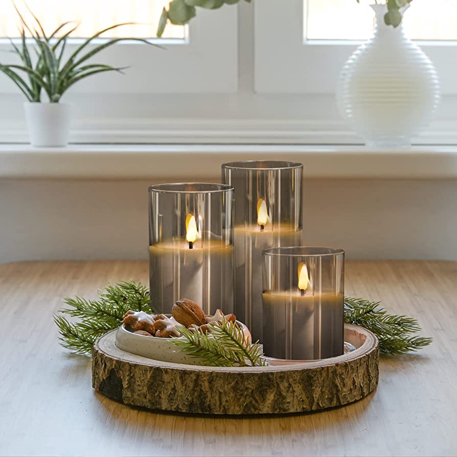bright minimalist living room with light rug and tall plant